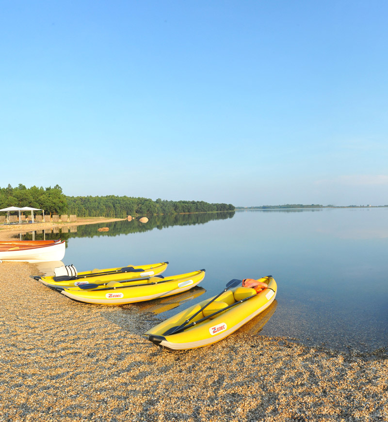 HOSPITALITY-SERVICES